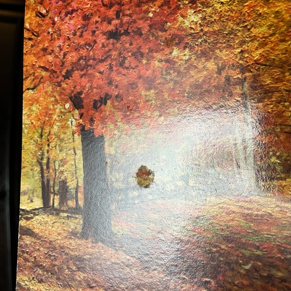 Set of 3 autumn Robert Wood placemats - Picture 8 of 8